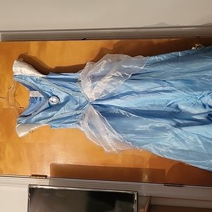 Cinderella Halloween Costume